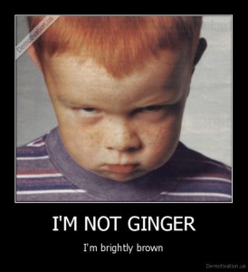 ginger_I am not